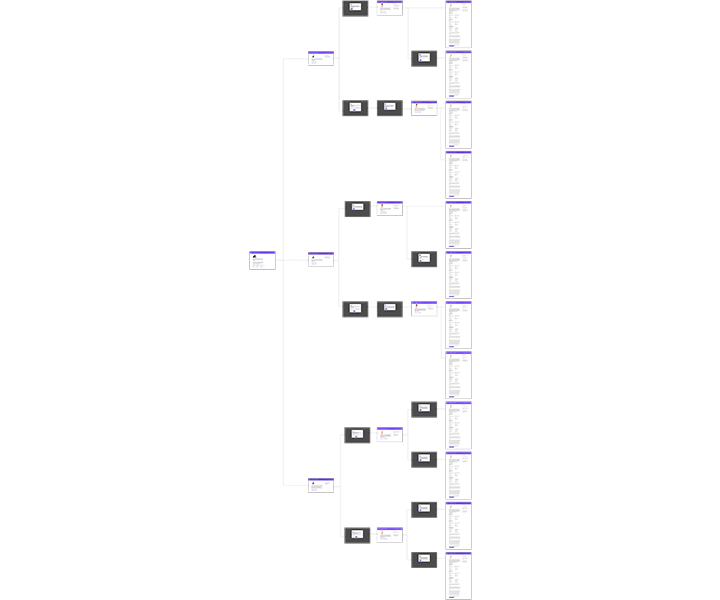 image of the Grace user flow